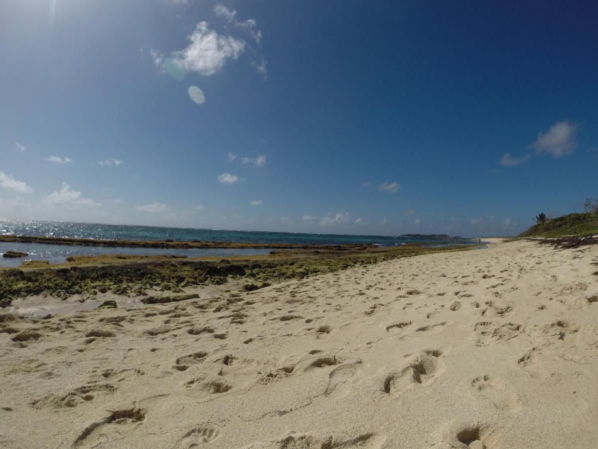 Bungalow Vanille Pacane - Vue Mer Avec Spa Prive Les Trois-Ilets Luaran gambar